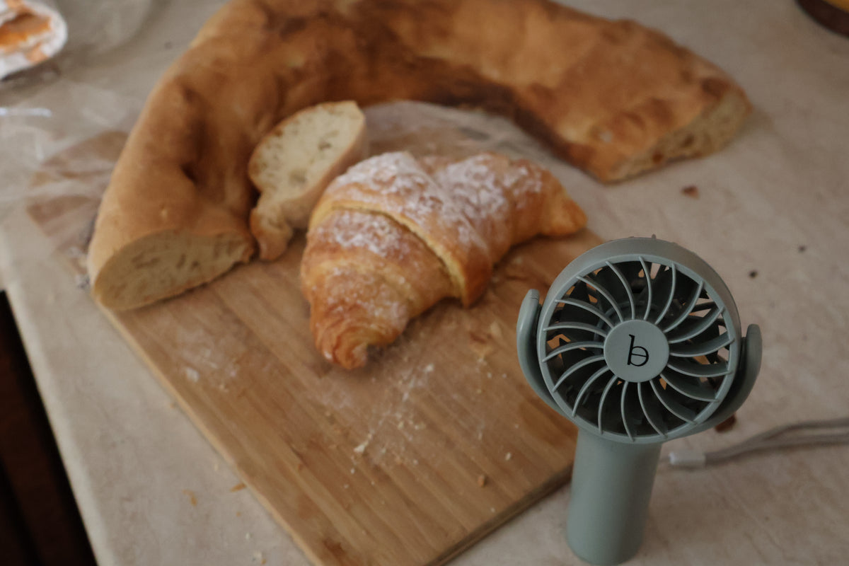 Mini Fan
